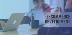 What about E-commerce development?