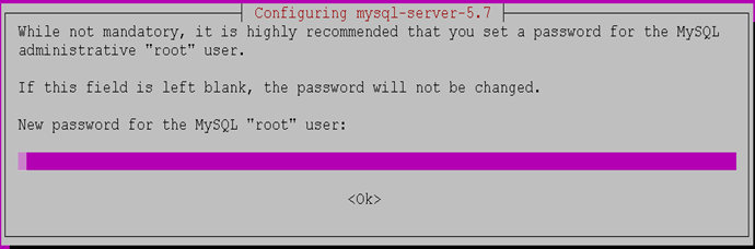 MySQL password