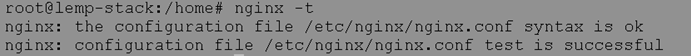 nginx -t command