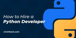 How to Hire a Python Developer