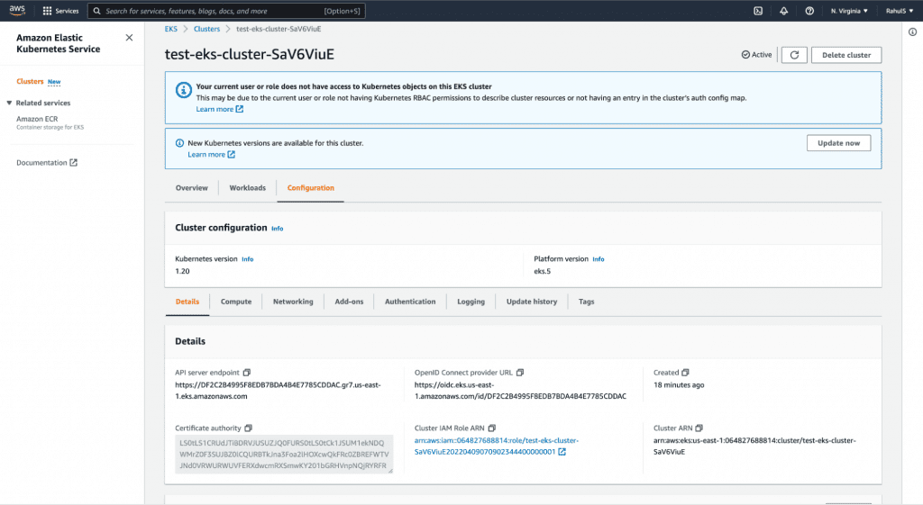 create EKS Cluster using Terraform step 17