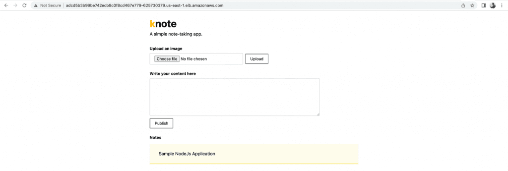 Deploy a Sample Nodejs Application on the EKS Cluster Using Terraform step 12