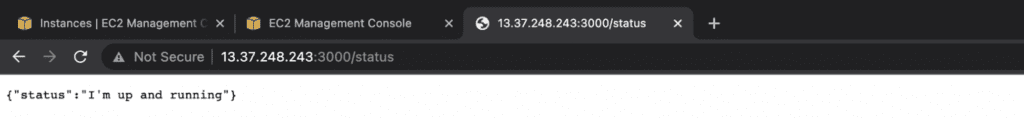 Check the status of the application on /status api using the browser. http://<public-ip-of-ec2-instance>:3000/status