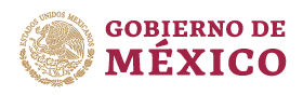 Gobierno de México Logo. Client for ClickIT