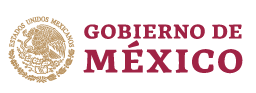 Client Gobierno De México