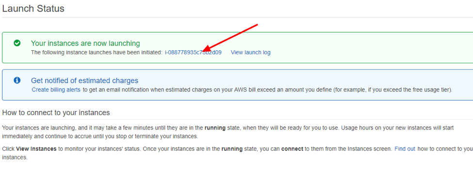 Amazon-AWS-Ec2-19