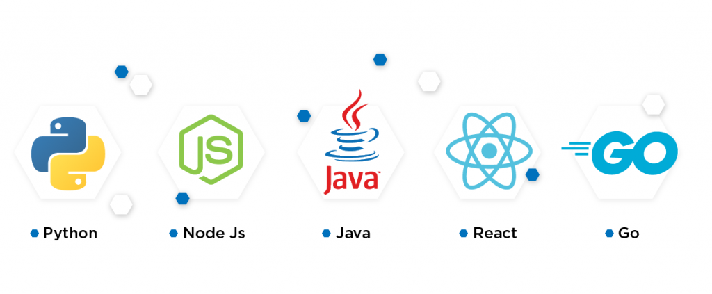 programming languages for multi tenant architecture: python, node js, java, react, go